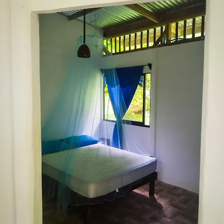 Jungle House Villa Cocles Exterior photo
