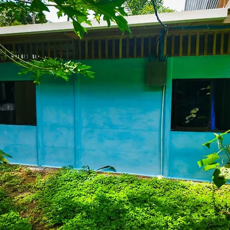 Jungle House Villa Cocles Exterior photo