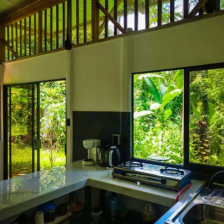Jungle House Villa Cocles Exterior photo