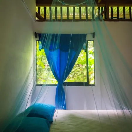 Jungle House Villa Cocles Exterior photo