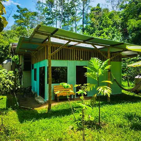 Jungle House Villa Cocles Exterior photo