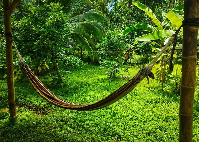 Jungle House