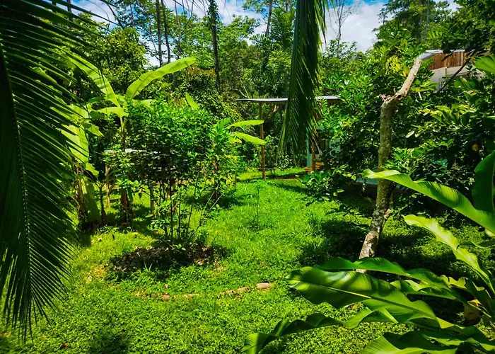 Jungle House