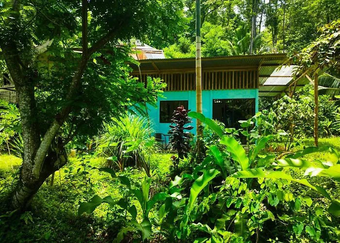 Jungle House