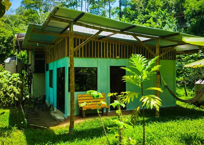 Jungle House