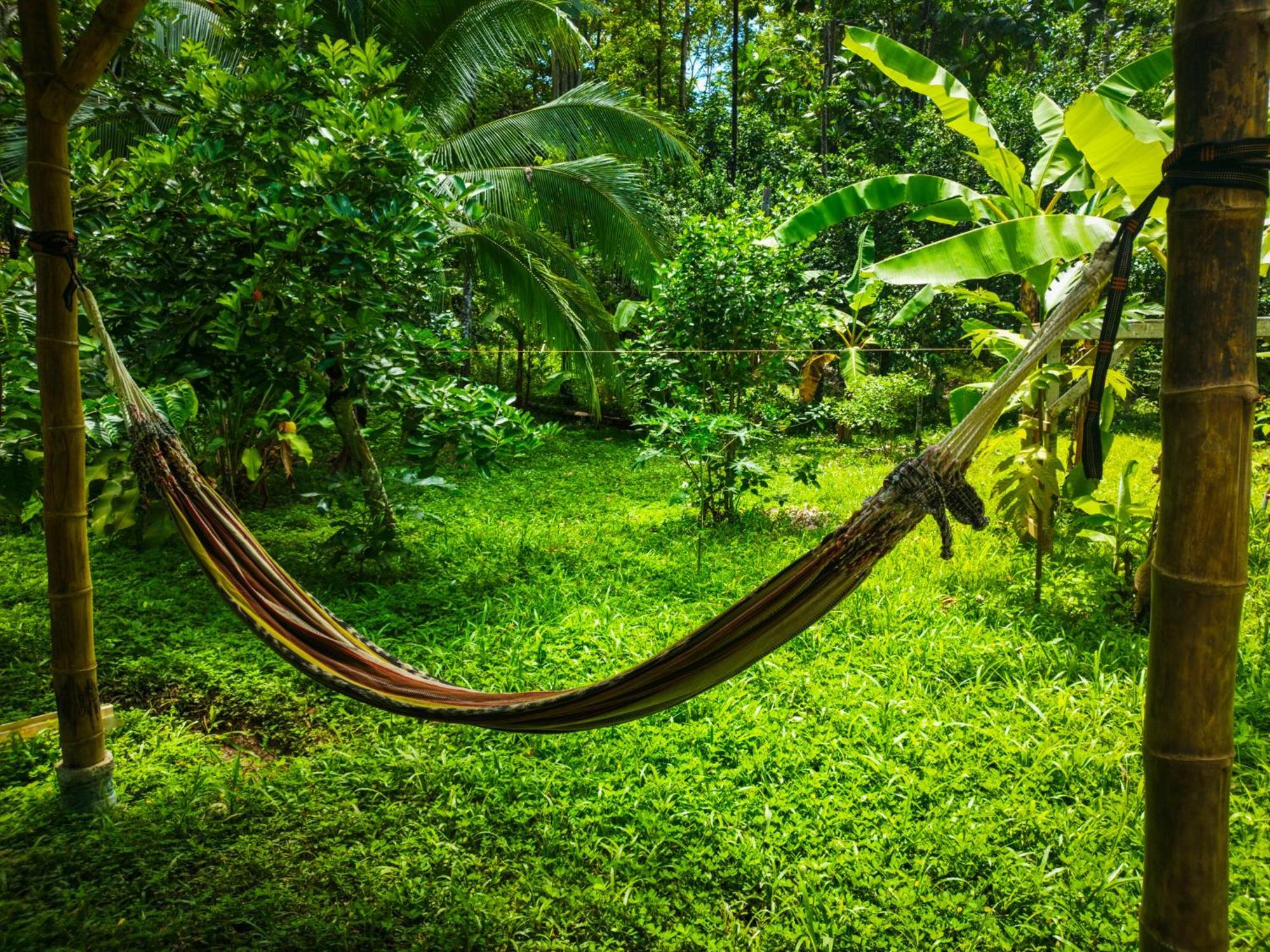 Holiday home Jungle House Cocles