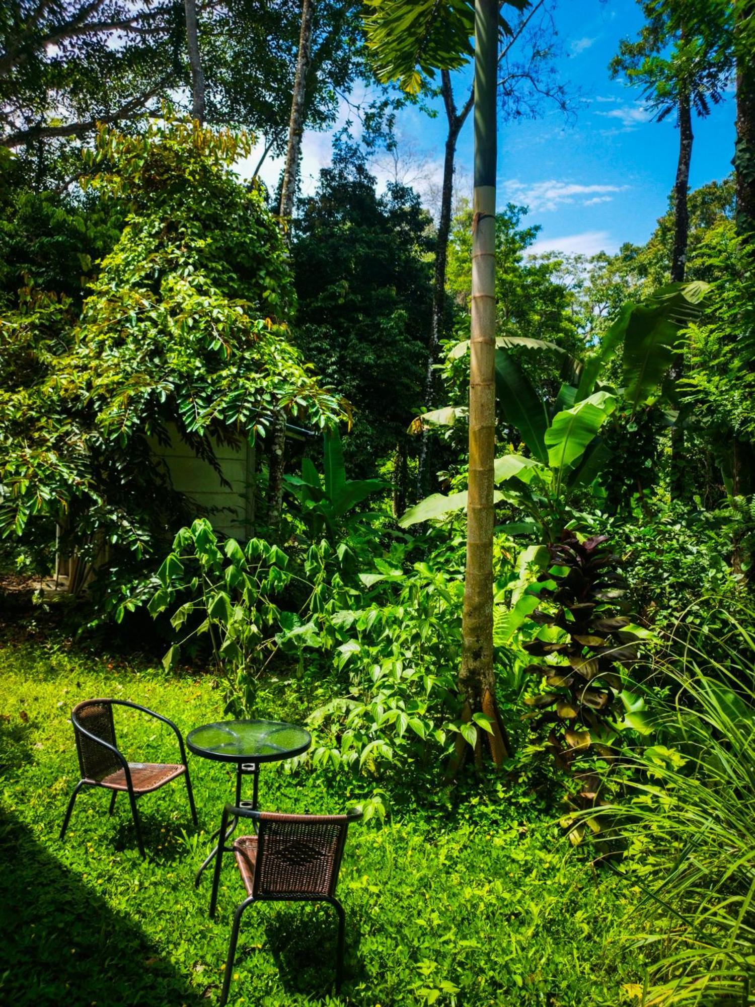 Holiday home Jungle House *