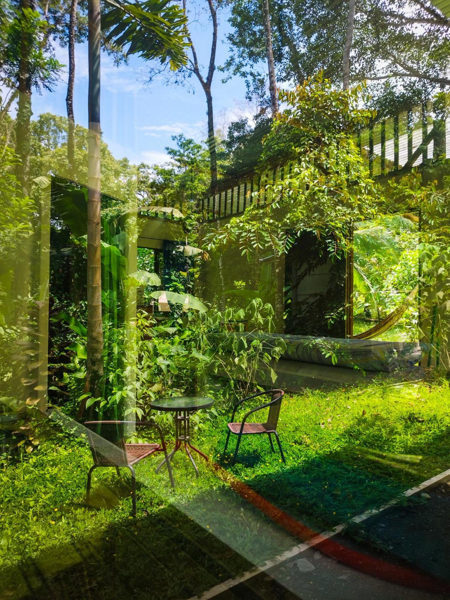 Jungle House Holiday home *