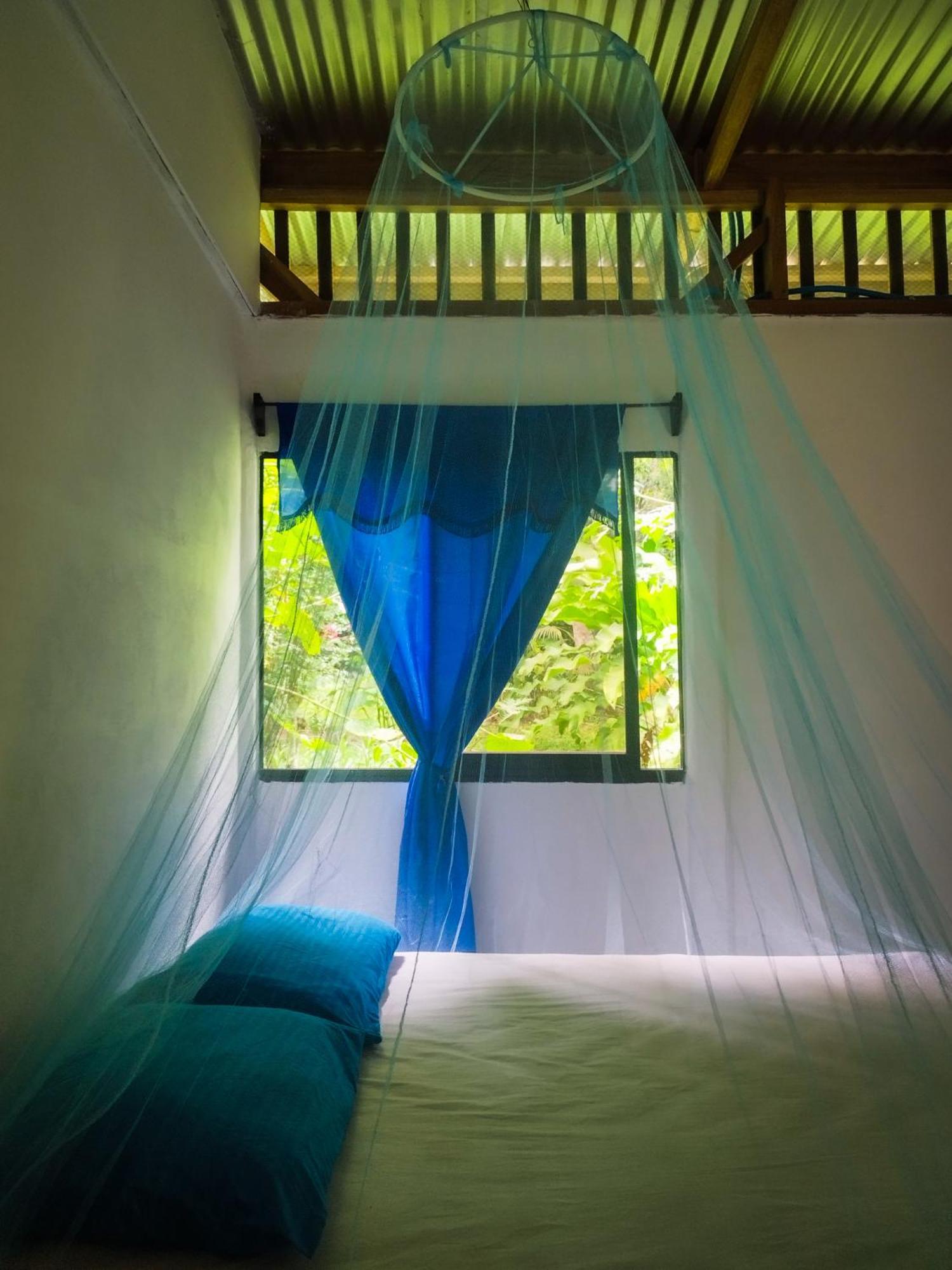 Holiday home Jungle House Cocles