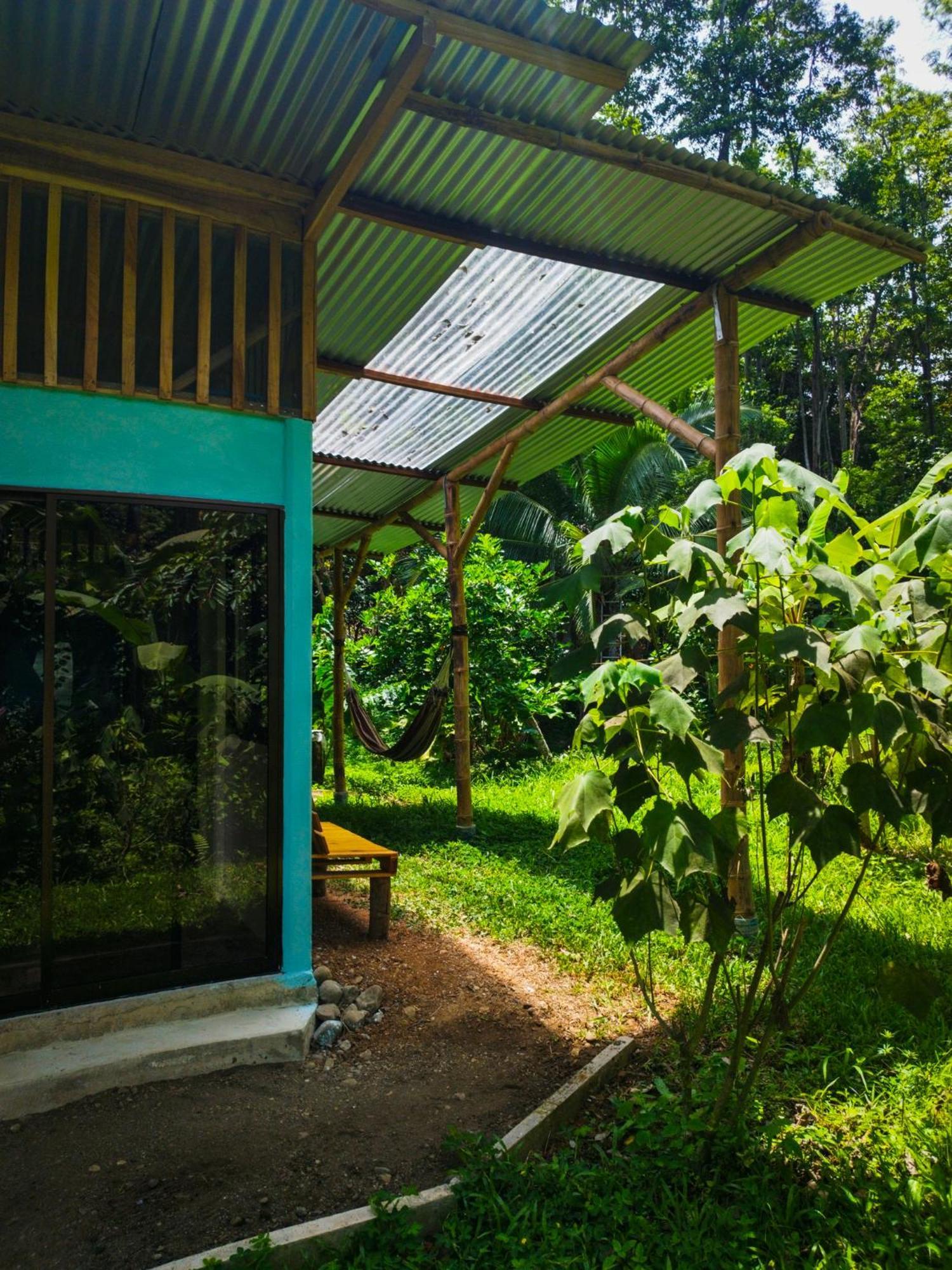 Jungle House Cocles