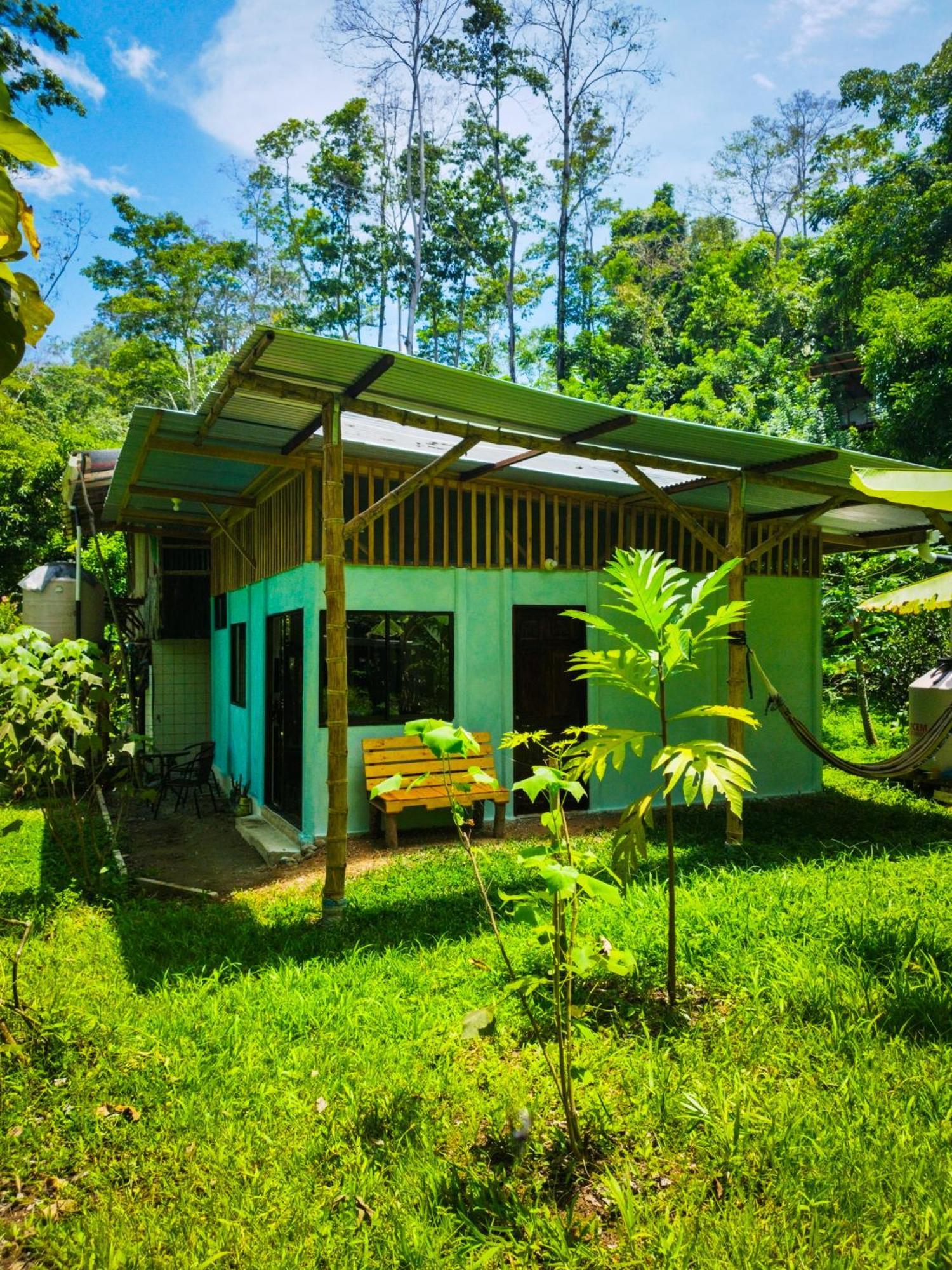 Jungle House Holiday home